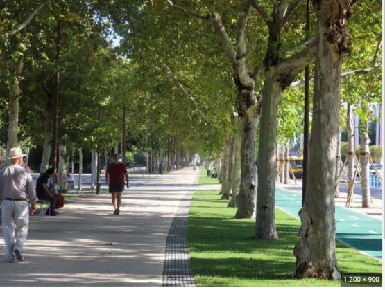Alleanza, Aires De Guadalquivir Sevilla Exterior foto